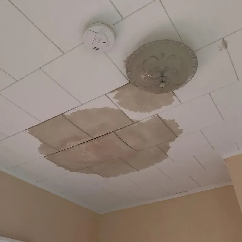 Ceiling Water Damage Repair in Van Buren, AR