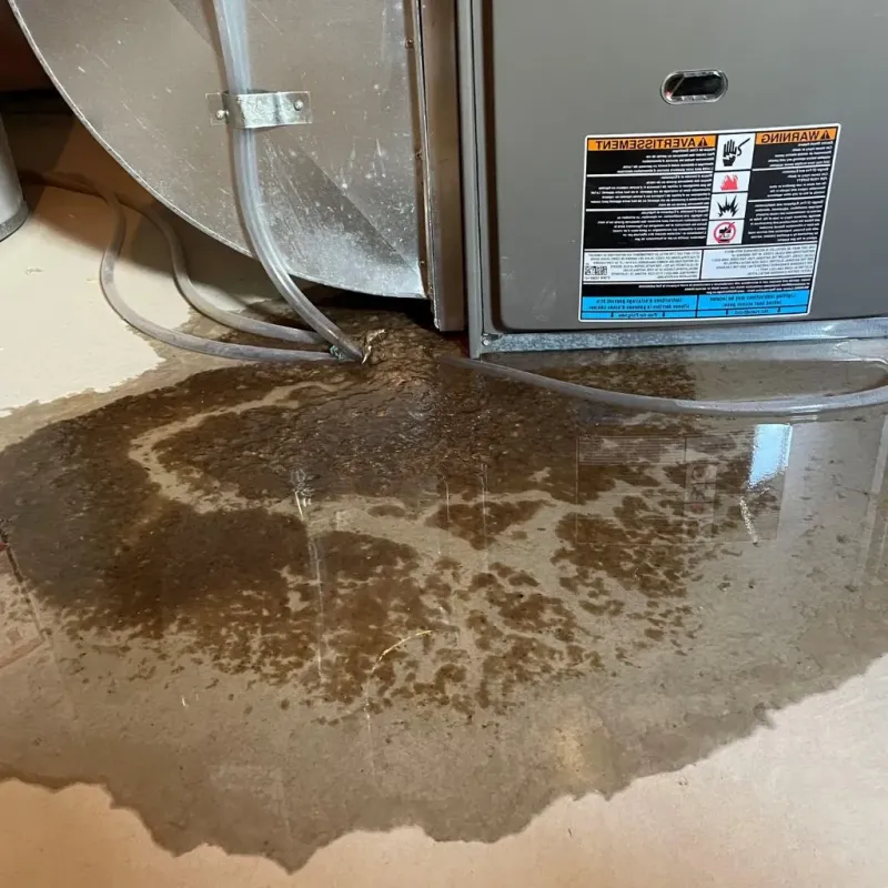 Pipe Burst and Leak Restoration in Van Buren, AR