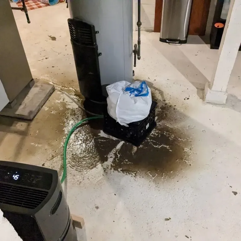 Sewage Backup Cleanup Service in Van Buren, AR